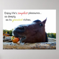 Life's Simplest Pleasures...