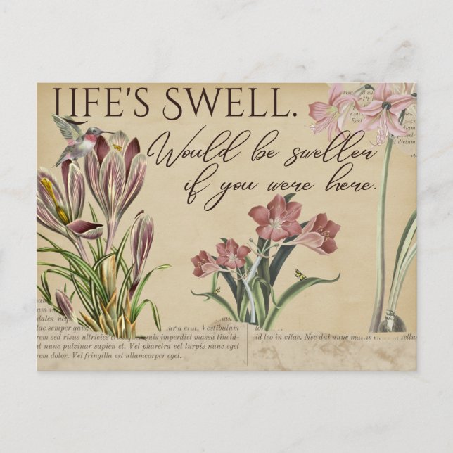 Life's Swell Hummingbird Vintage-Style Postcards (Front)