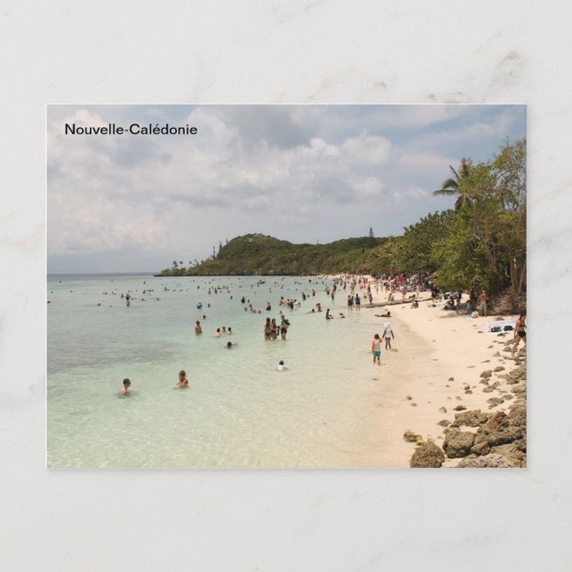 Lifou Island beach, New Caledonia (Nouvelle-Calédo Postcard (Front)