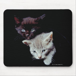 Light and Dark Kittens Mouse Mat