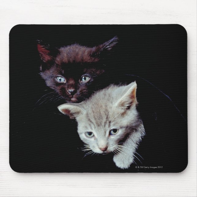 Light and Dark Kittens Mouse Mat (Front)