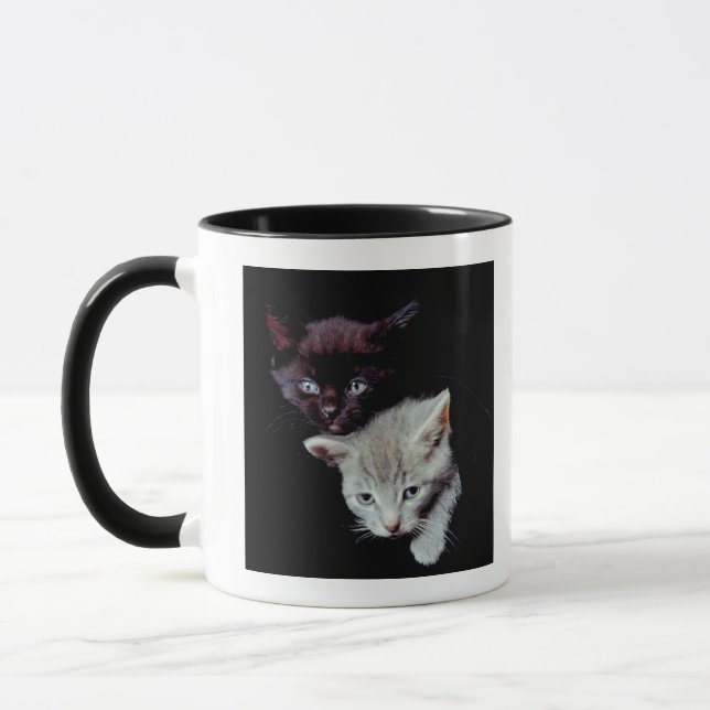 Light and Dark Kittens Mug (Left)