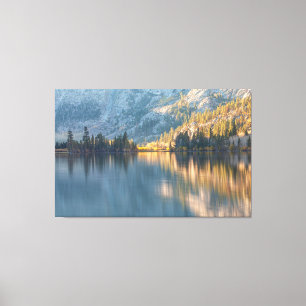Light and Shadow Canvas Print