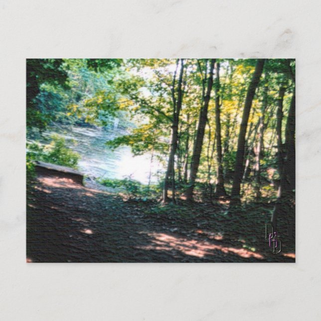 Light and Shadows 2 Postcard (Front)