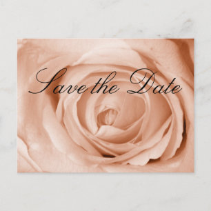 Light Apricot Save the Date Announcement Postcard