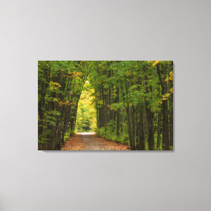 Light At The End Of A Tunnel Of Trees Canvas Print