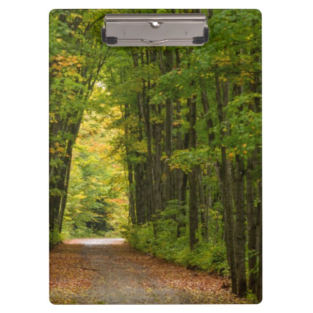 Light At The End Of A Tunnel Of Trees Clipboard (Front)