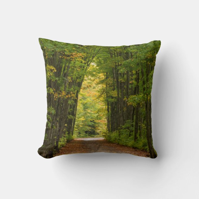 Light At The End Of A Tunnel Of Trees Cushion (Front)