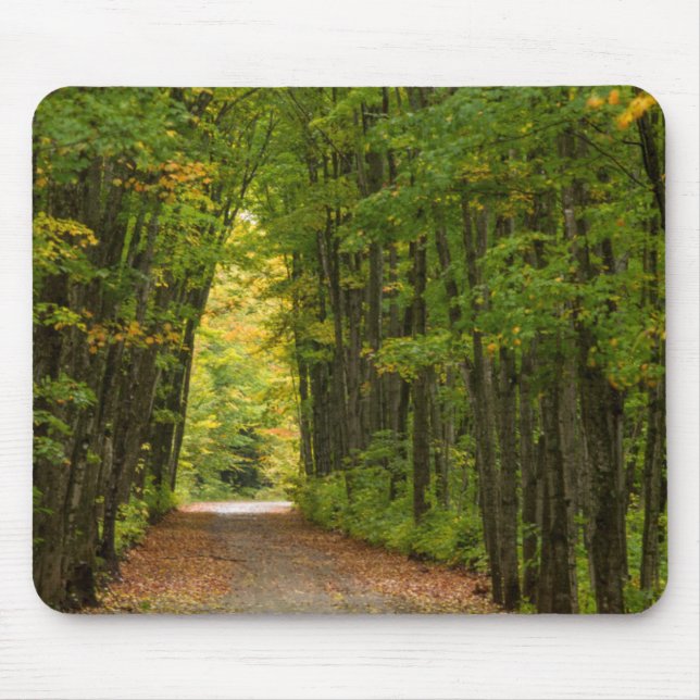 Light At The End Of A Tunnel Of Trees Mouse Mat (Front)