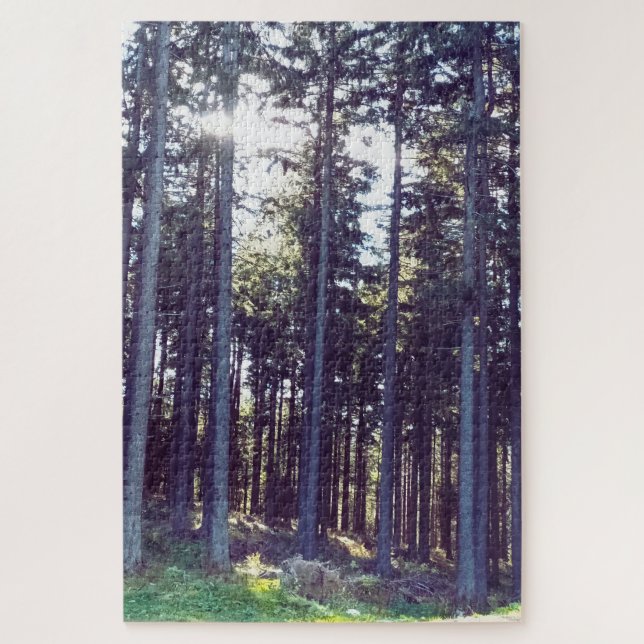 Light Between the Pines - Wild Nature Romania Jigsaw Puzzle (Vertical)