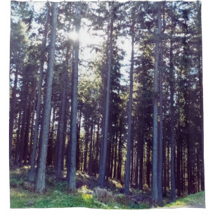 Light Between the Pines - Wild Nature Romania Shower Curtain