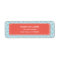 Light Blue and Coral Greek Key Pattern