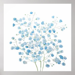 light blue Baby Breath Bouquet gypsophila Poster