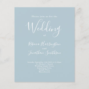 Light Blue Budget Modern Script Wedding Invitation Flyer