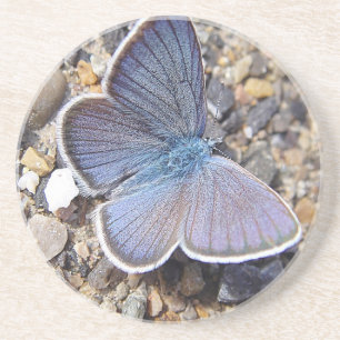 Light blue butterfly coaster