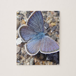 Light blue butterfly jigsaw puzzle