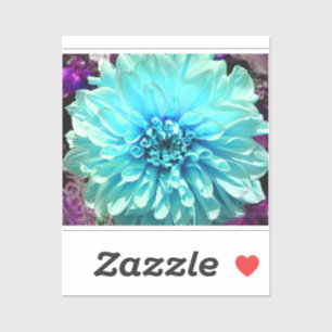 Light Blue Dahlia Flower