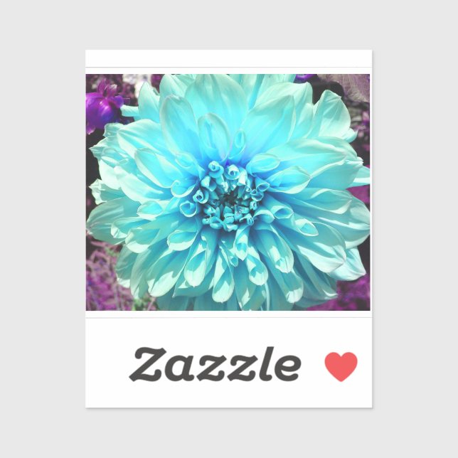 Light Blue Dahlia Flower (Sheet)