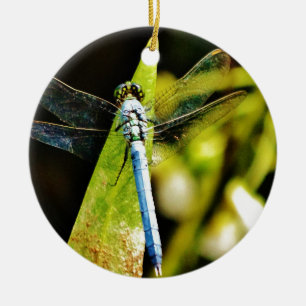 Light Blue Dragonfly Ceramic Tree Decoration