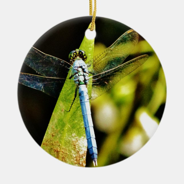 Light Blue Dragonfly Ceramic Tree Decoration (Front)