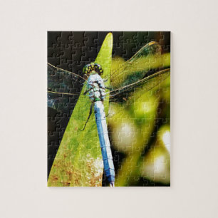 Light Blue Dragonfly Jigsaw Puzzle