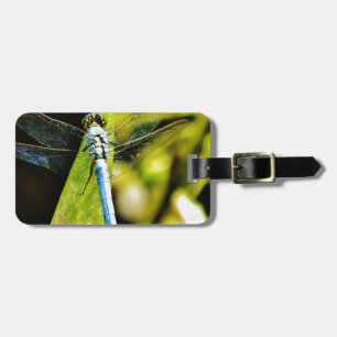 Light Blue Dragonfly Luggage Tag