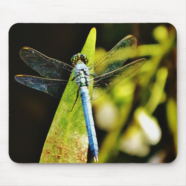 Light Blue Dragonfly Mouse Mat (Front)