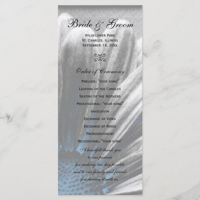 Light Blue Floral Highlights Wedding Program Programme (Front)
