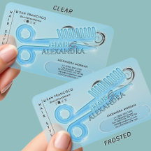 Light Blue Hair Salon Professional Stylist Frosted