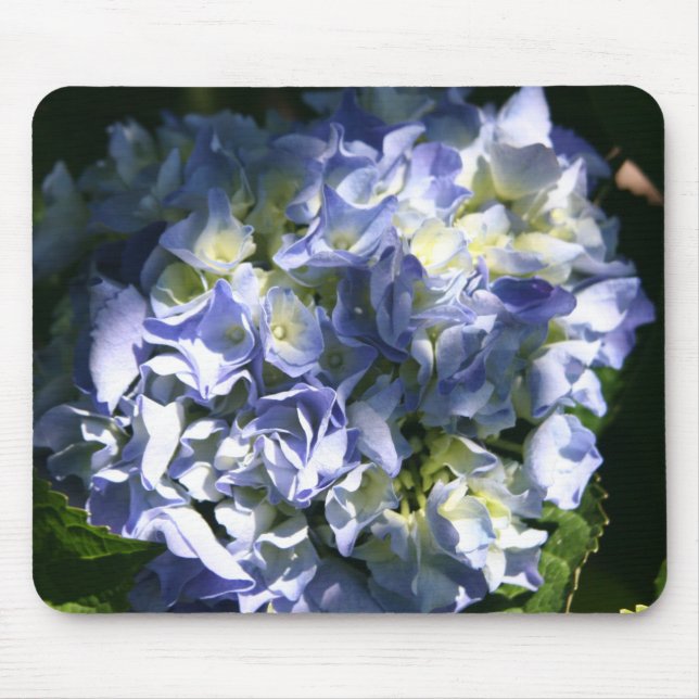 Light Blue Hydrangea Flower Mouse Mat (Front)