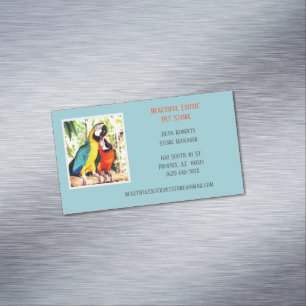 Light Blue Veterinary/ Animal Pet Store Parrots  Magnetic Business Card