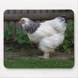 Light Brahma Hen Mouse Mat