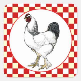 Light Brahma Rooster Chicken Restaurant Square Sticker