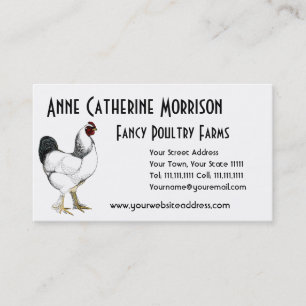 Light Brahma Rooster Vintage Country Classic Business Card