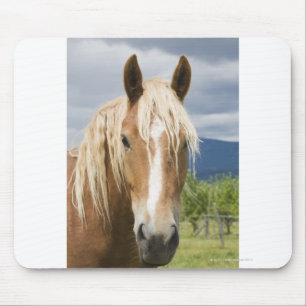 Light Brown Horse Mouse Mat