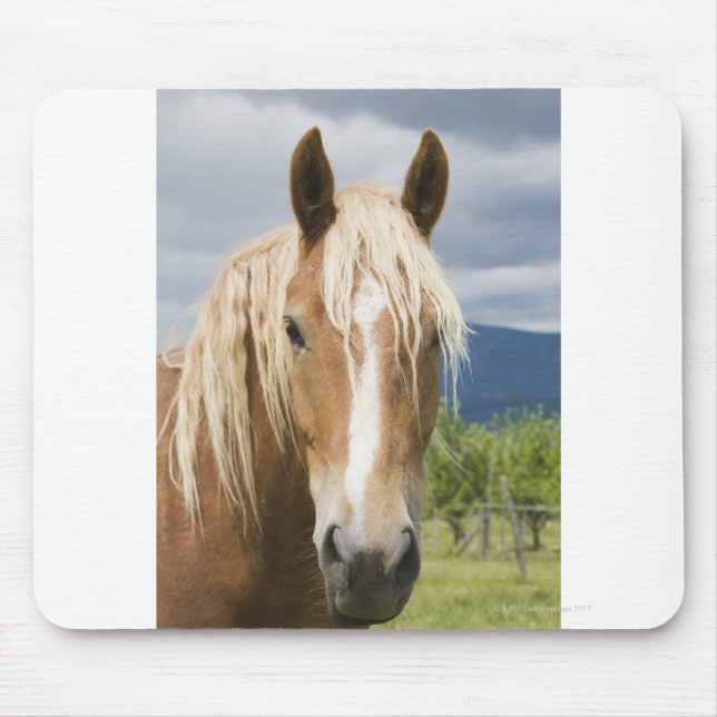 Light Brown Horse Mouse Mat (Front)