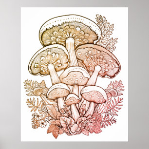 Light Brown Mushrooms on White Background on Wall Poster
