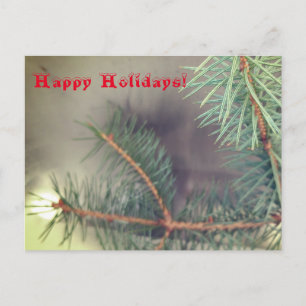 Light Christmas Greeting Postcard
