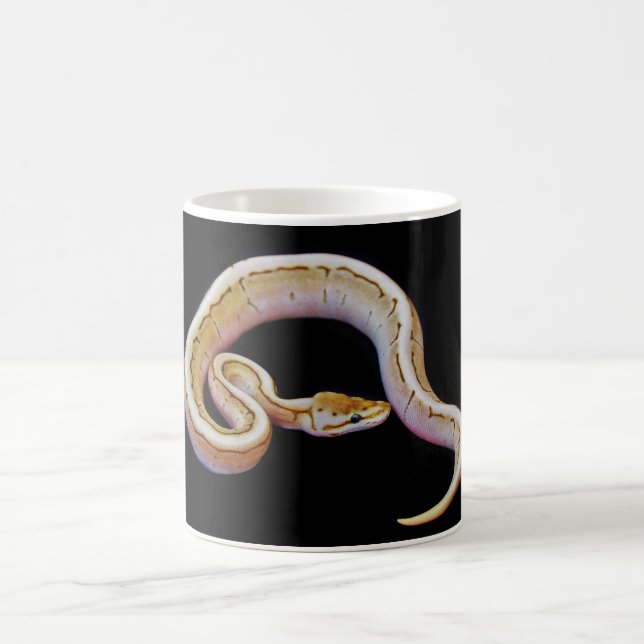 Light Coloured Ball Python Coffee Mug (Center)