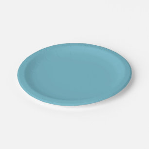 Light cyan hex code 6FBACD Party Plate