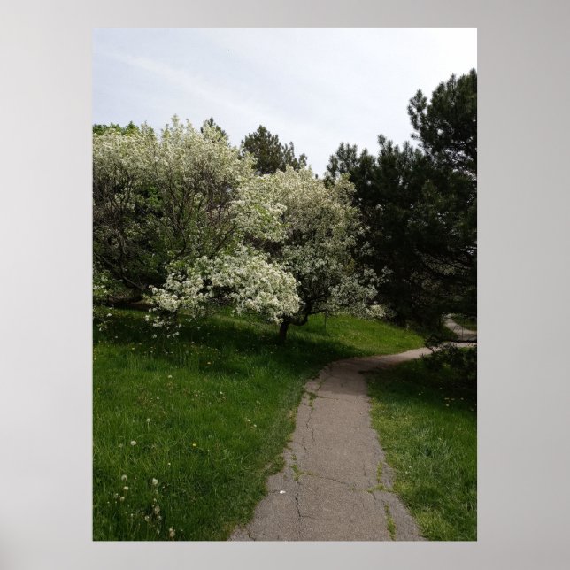 Light, Dark and Opposing Sides Poster (Front)