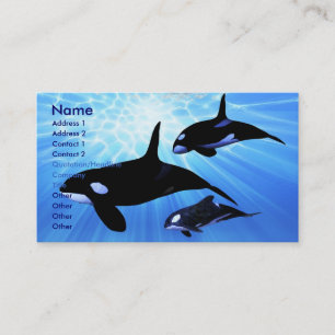 LIGHT ECHO BUSINESS CARD