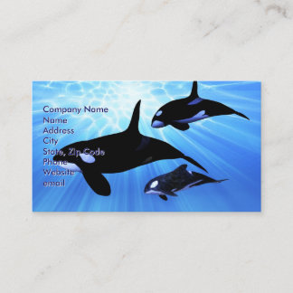 Light Echo Business Card