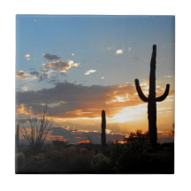 Light Fades in a Blaze