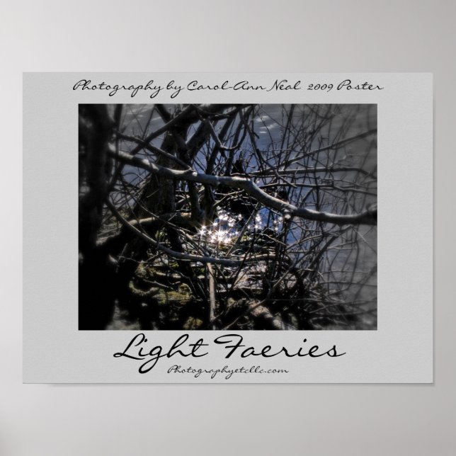 Light Faeries Poster 2009 (Front)