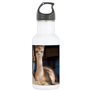 Light Fawn Alpaca 532 Ml Water Bottle