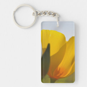 Light Filled Poppy Key Ring