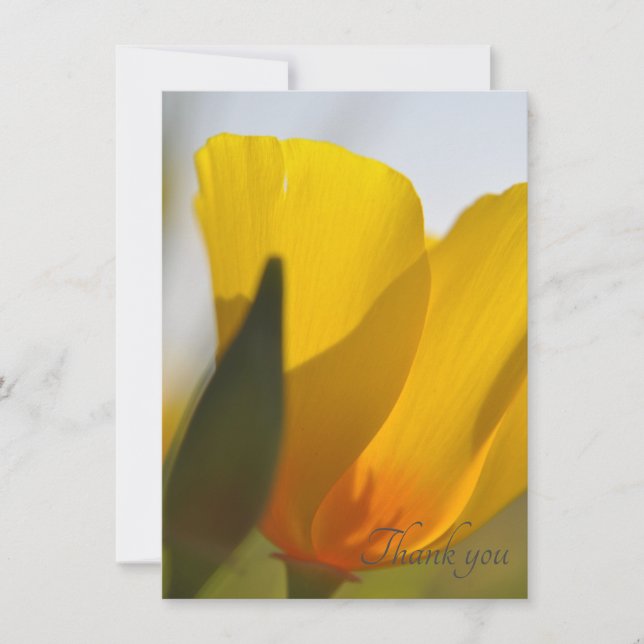Light Filled Poppy Thank You Card (Front)