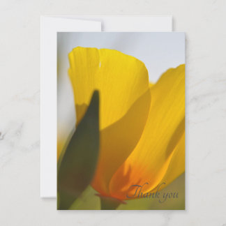 Light Filled Poppy Thank You Card