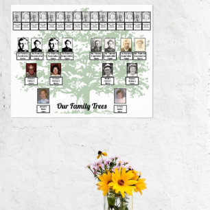 Light Green Leafage Tree Drawing Two Family Trees Poster